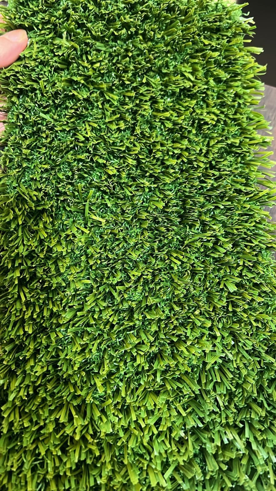 ხალიჩა